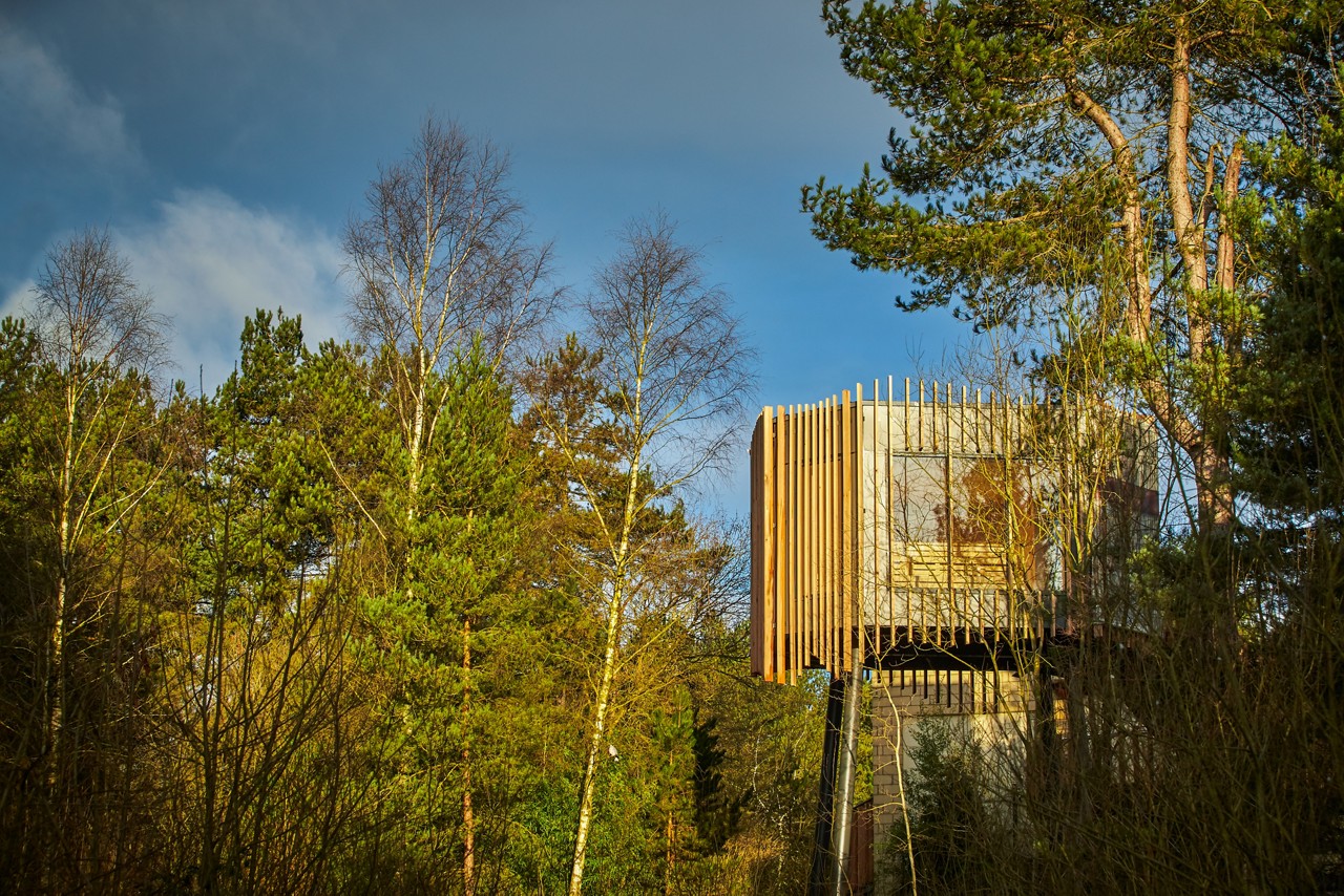 Treetop sauna 8